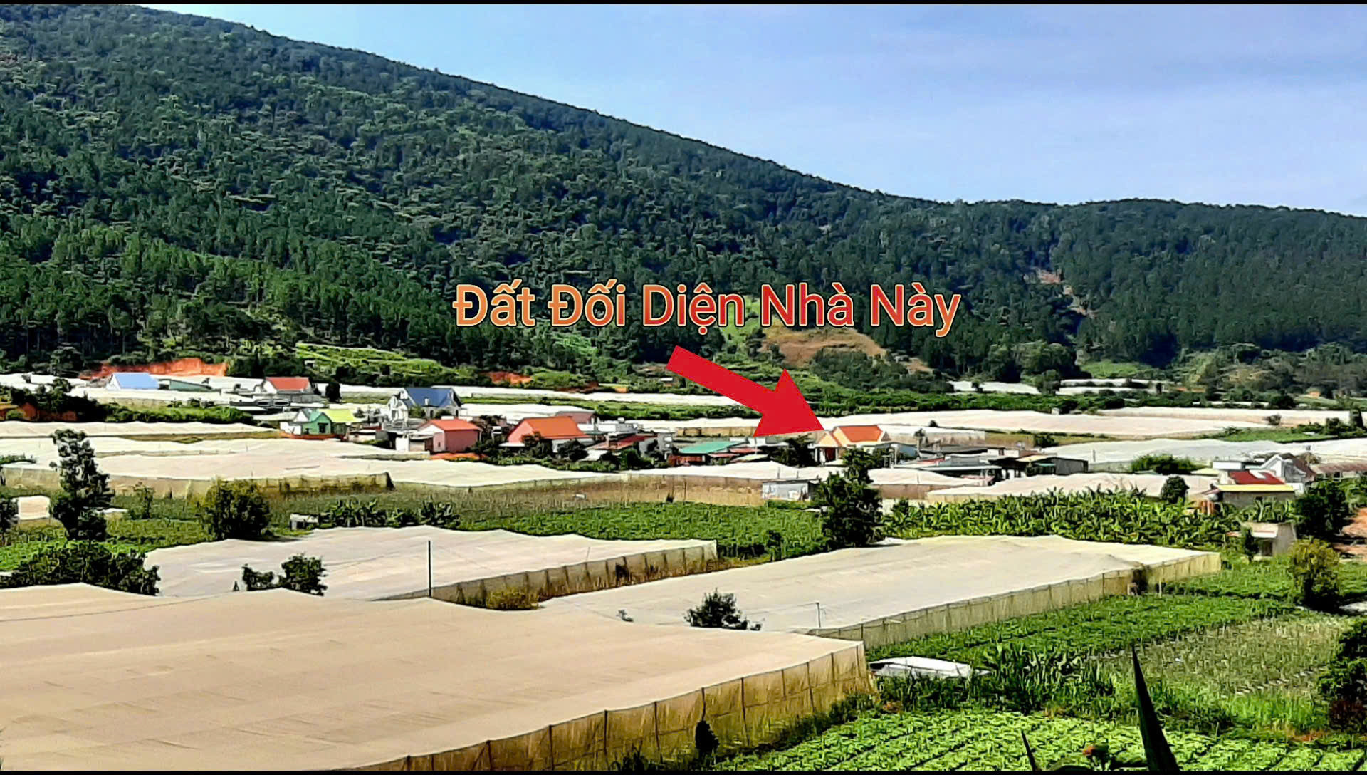 🔥 ĐẤT VEN ĐÀ LẠT – GIÁ CHỈ TỪ HƠN 1 TỶ/NỀN 🔥