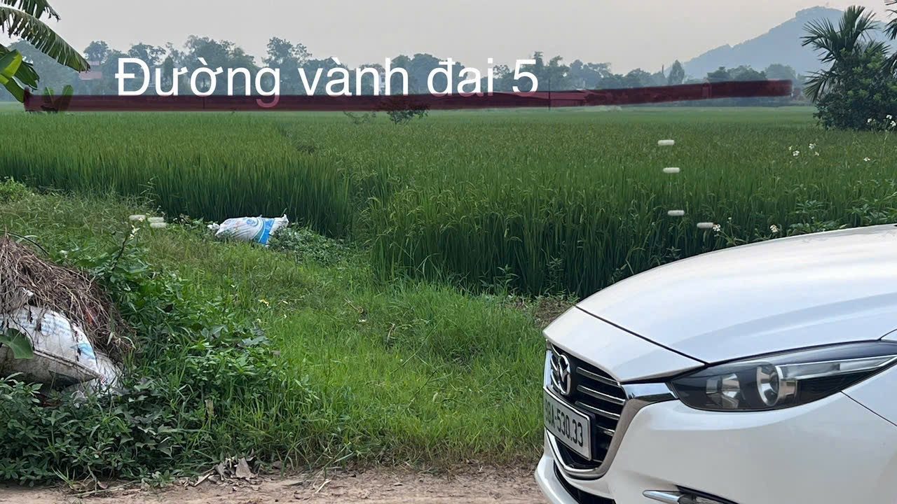 🏦 BÁN LÔ GÓC 130M² – MẶT TIỀN 8M – GẦN VÀNH ĐAI 5 – KCN PHÚC SƠN – ĐƯỜNG Ô TÔ TRÁNH.
