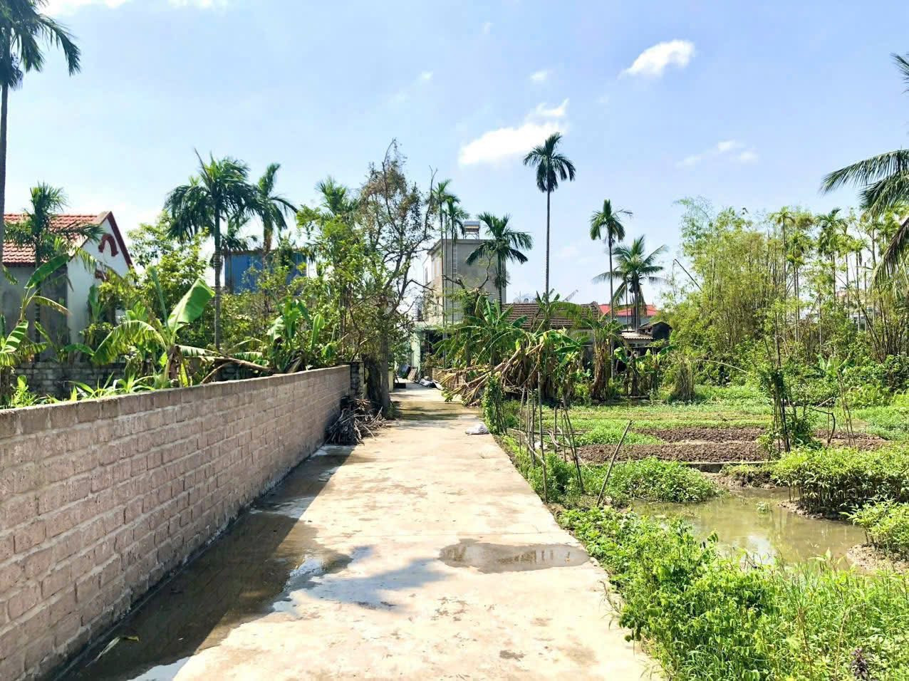 Bán Đất 60m² giá 980 triệu tại Lâm Động,Thuỷ Nguyên ,Hải Phòng.l/h:076.231.9990 e Thúy