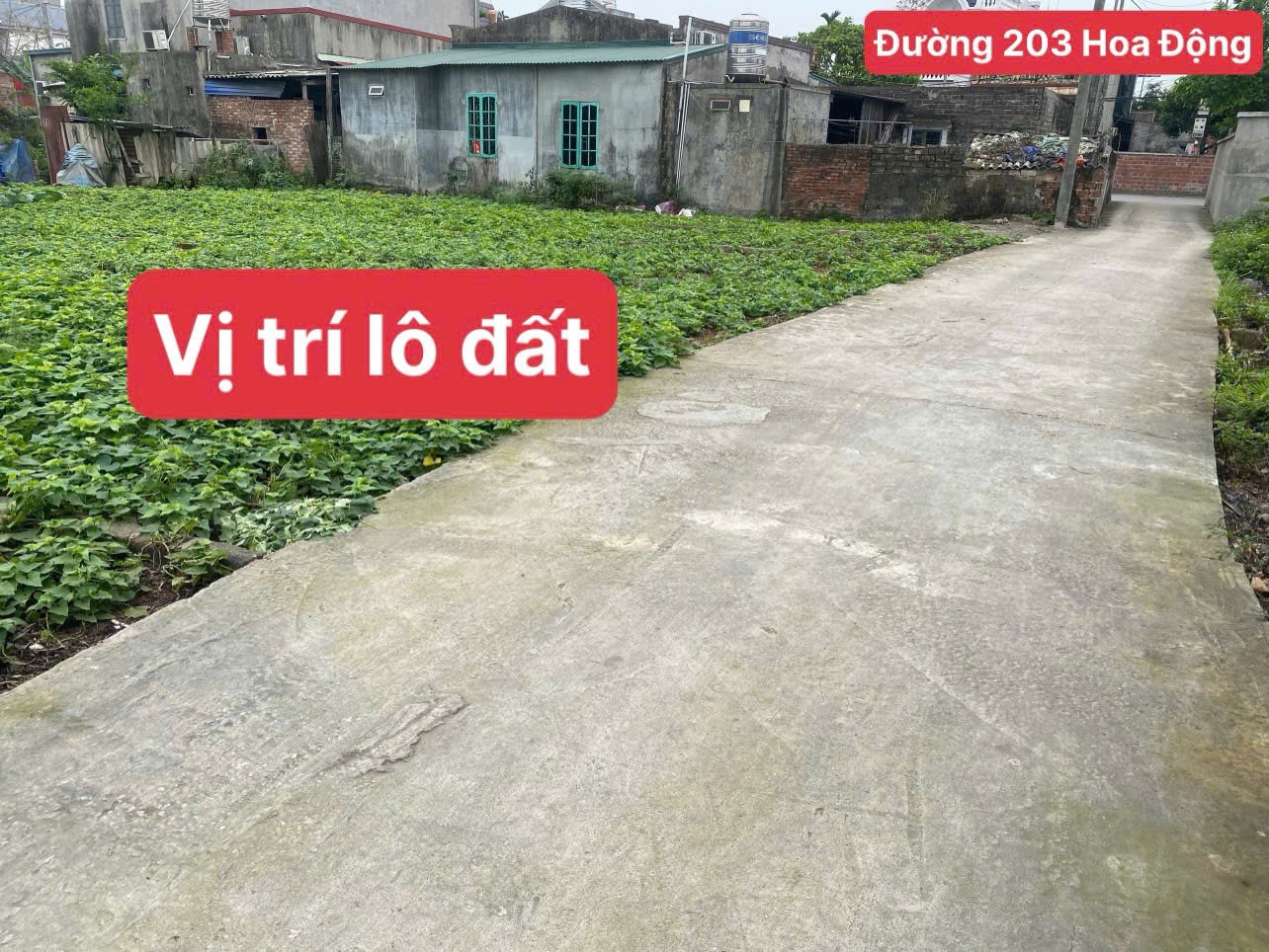 Bán đất 93m² giá 2.28 tỷ tại Lâm Động Thuỷ Nguyên. liên hệ 0362558882