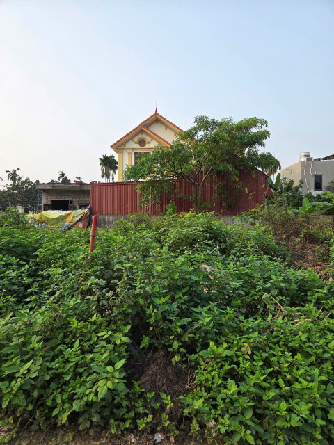Bán đất 69.2m² đường 7m . giá 2.39 tỷ tại Lâm Động Thuỷ Nguyên. liên hệ 0362558882