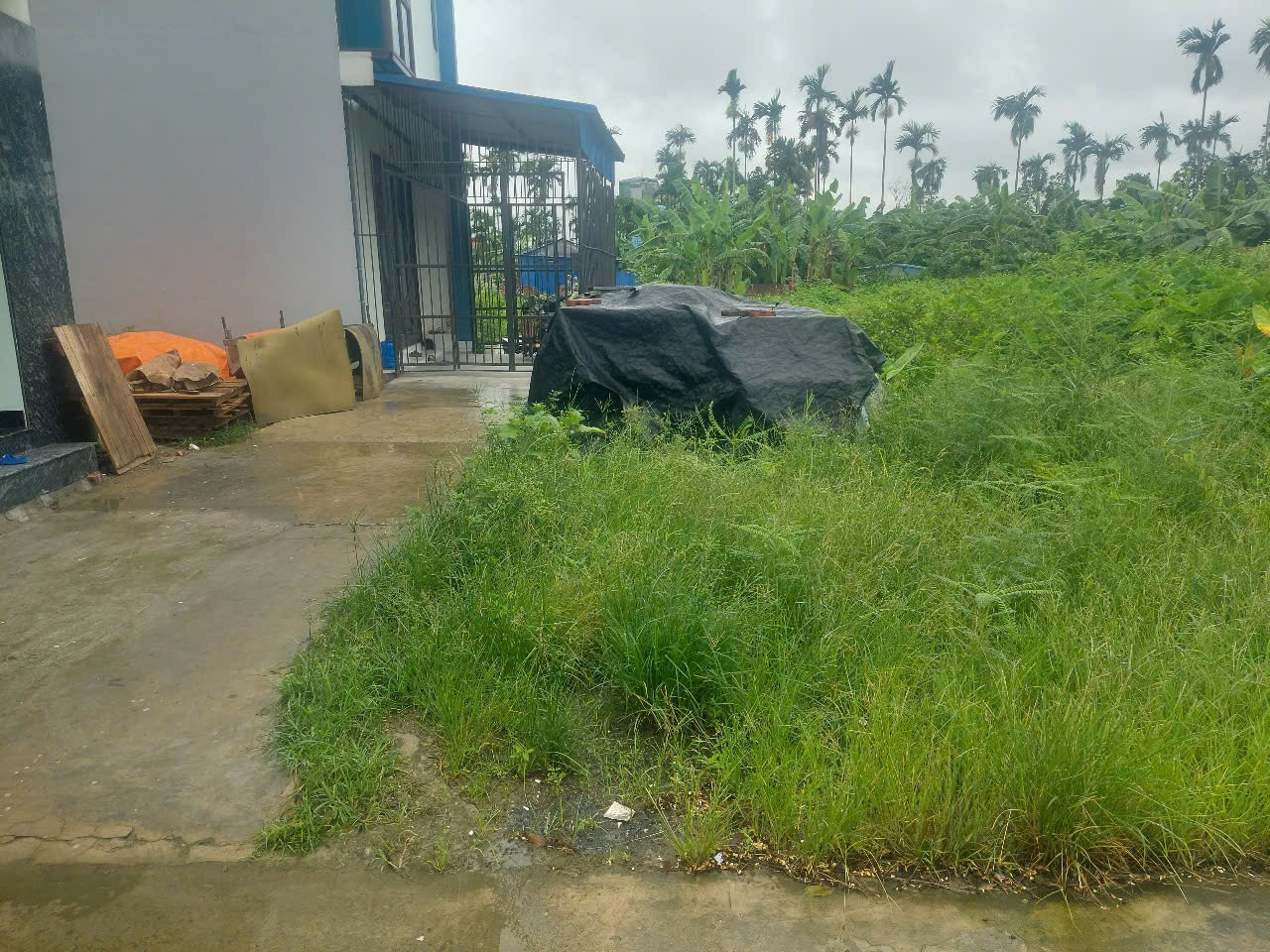 Bán đất 66m² ngang 4,6m giá 1.68 tỷ tại Xã Lâm Động , Thiên Hương. liên hệ 0362558882