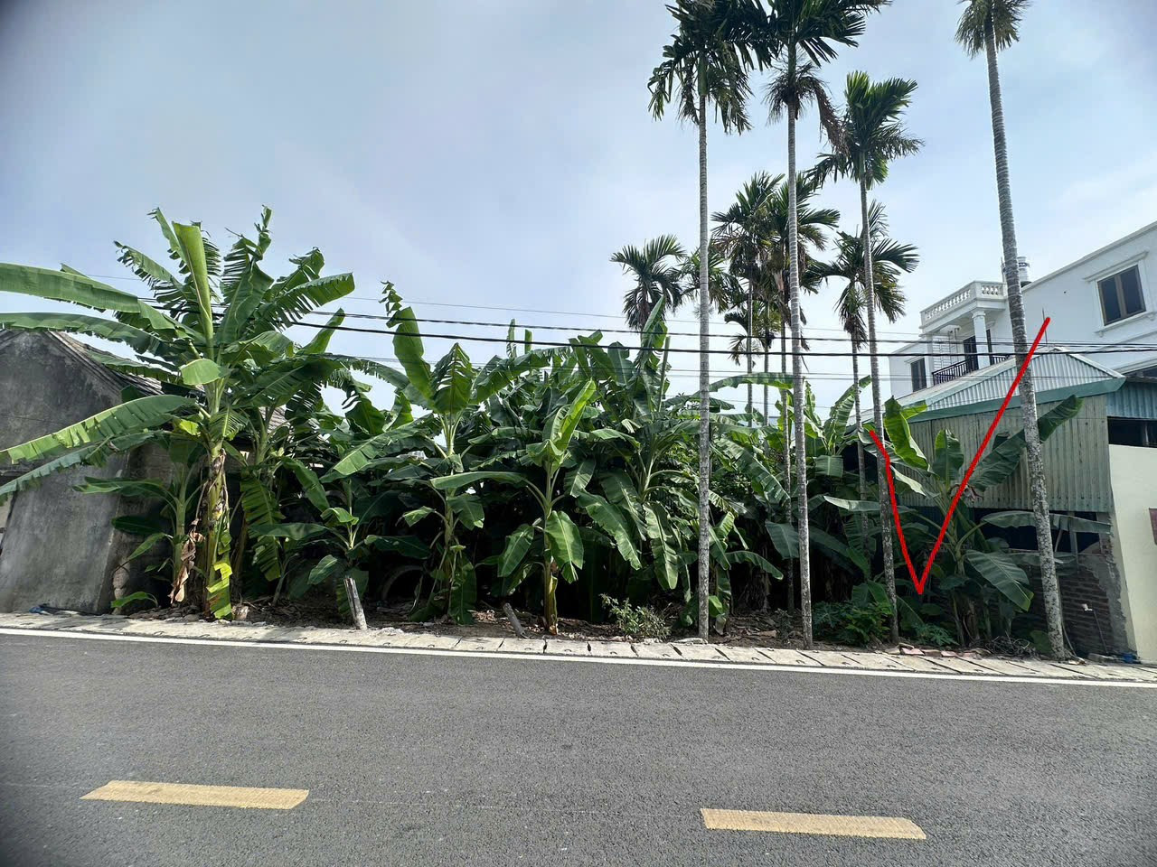 Thôn hầu lâm động Thủy Nguyên 1 lô duy nhất dt 70m ngang 7 giá chỉ 2tỷ 4xx lh ngay 0382341632 em Liên