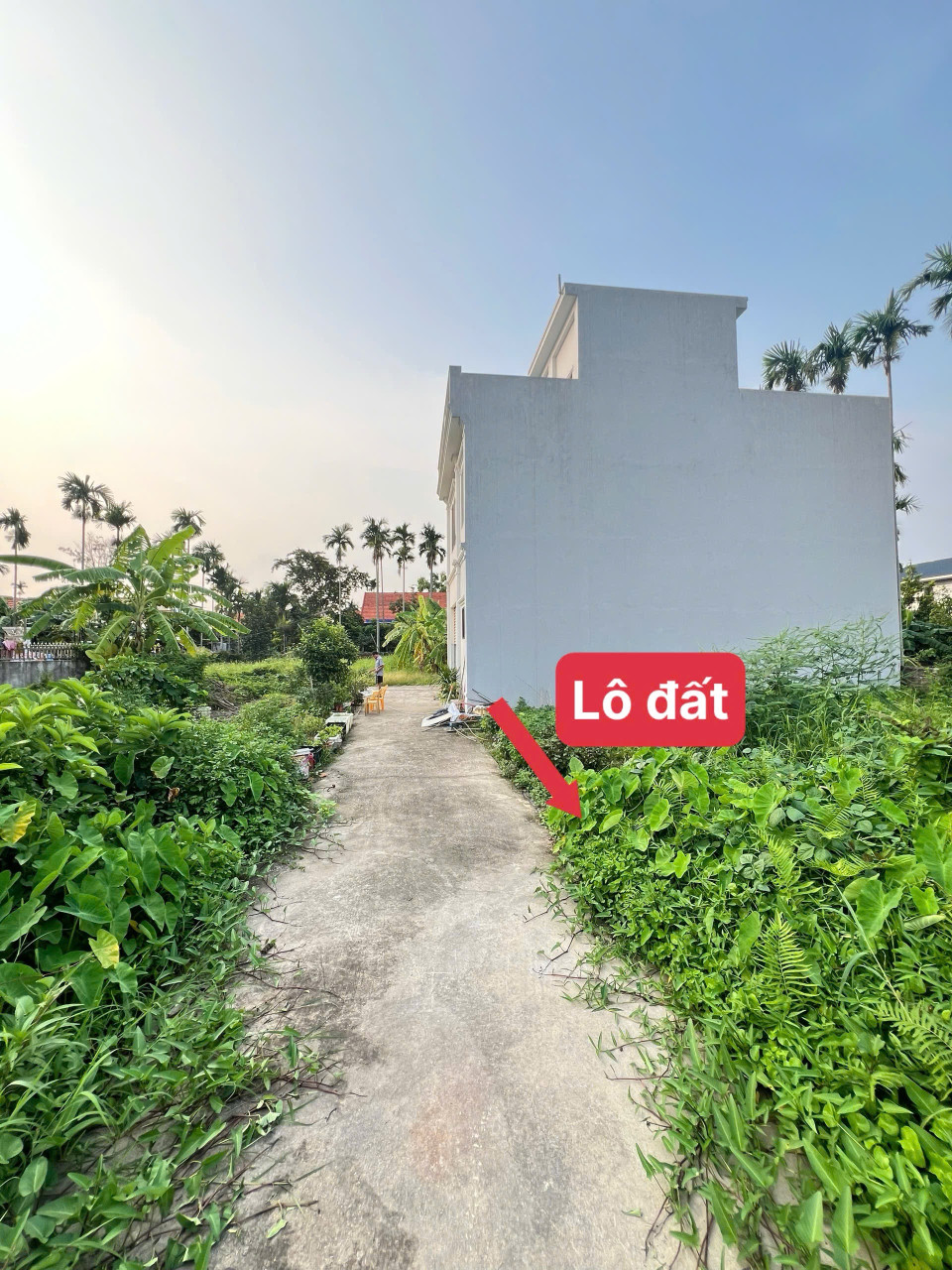Bán 69.2m Lâm Động cách đường liên thôn 50 m . Gần chợ . L:h:076.231.9990 e Thuý