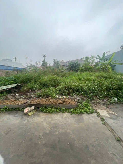 Bán 2 lô hơn 70 thôn Đông Lâm Động , cách 203 chỉ 100 m .sau 1 nhà mặt đường. L/h:076.231.9990