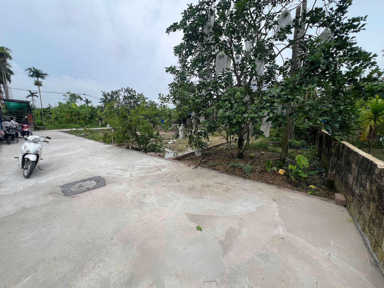 Bán 60 m Lâm Động ngang 4.6m ngõ ô tô 3.5m . L/h:076.231.9990 e Thúy