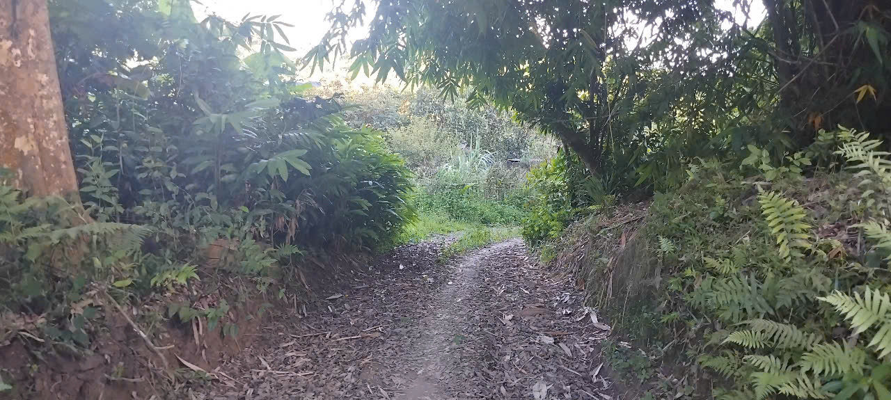 5032m - đất nghỉ dưỡng - mặt tiền dài - giá chỉ 1tr/m