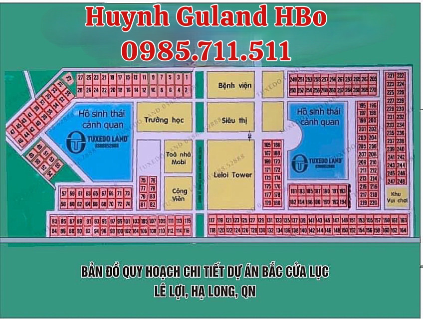 DỰ ÁN BẮC CỬA LỤC- HẠ LONG