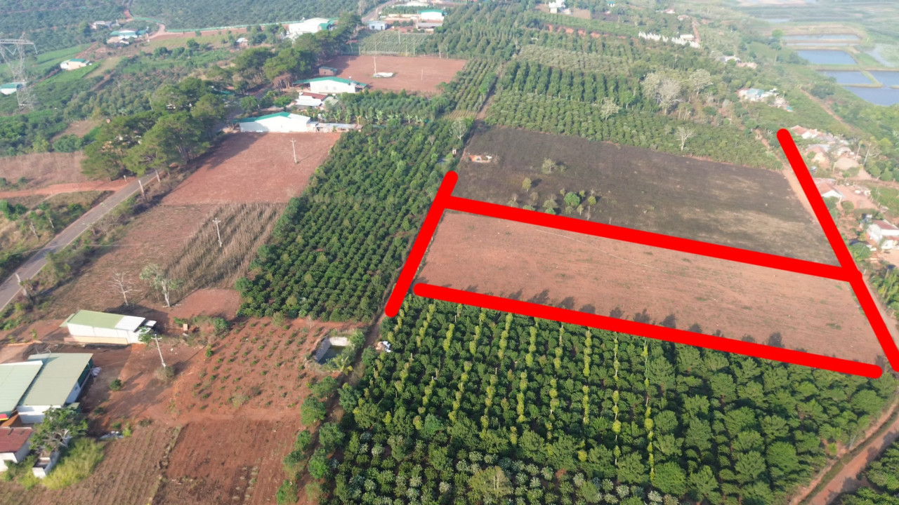 Lô đất 2000m ở Lâm Hà Lâm Đồng chủ đất cần bán gấp giá giảm 100%, có sẵn 200m thổ cư
