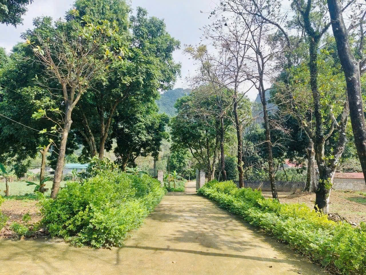 GIÁ CHỈ HƠN 1 TRIỆU/M2 THÔI Ạ📣