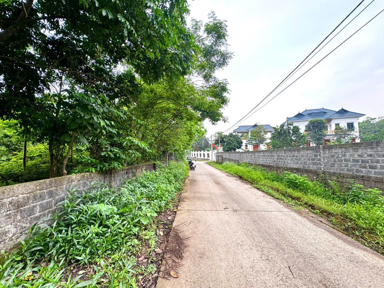 2000m - mặt tiền 40m - xã Liên Sơn, Phú Thọ - giá hơn 2.x tr/m