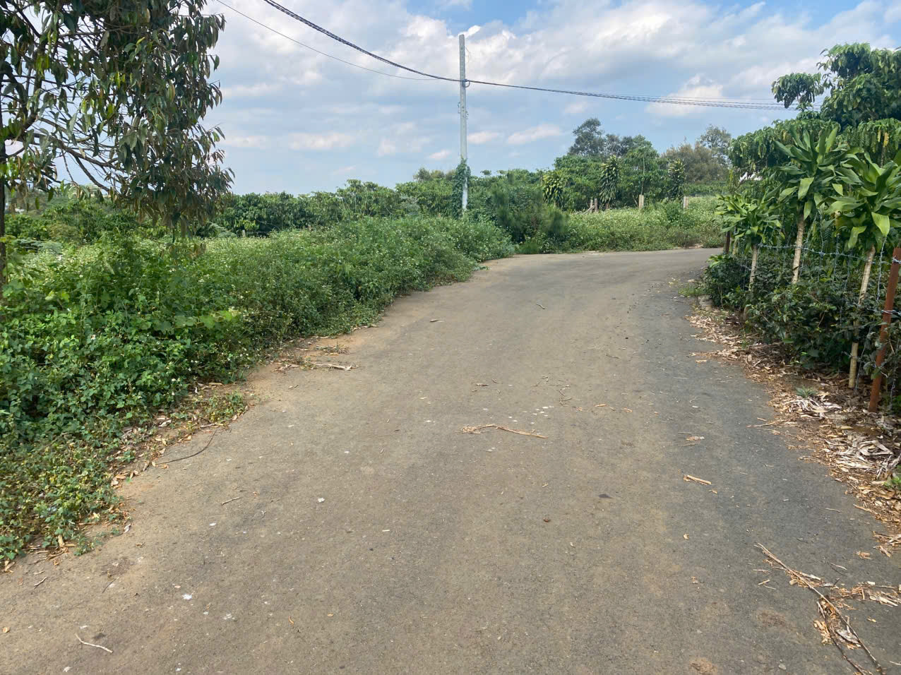 Bán đất xã Lộc An, huyện Bảo Lâm, Lâm Đồng - Hỗ trợ vay ngân hàng 100%