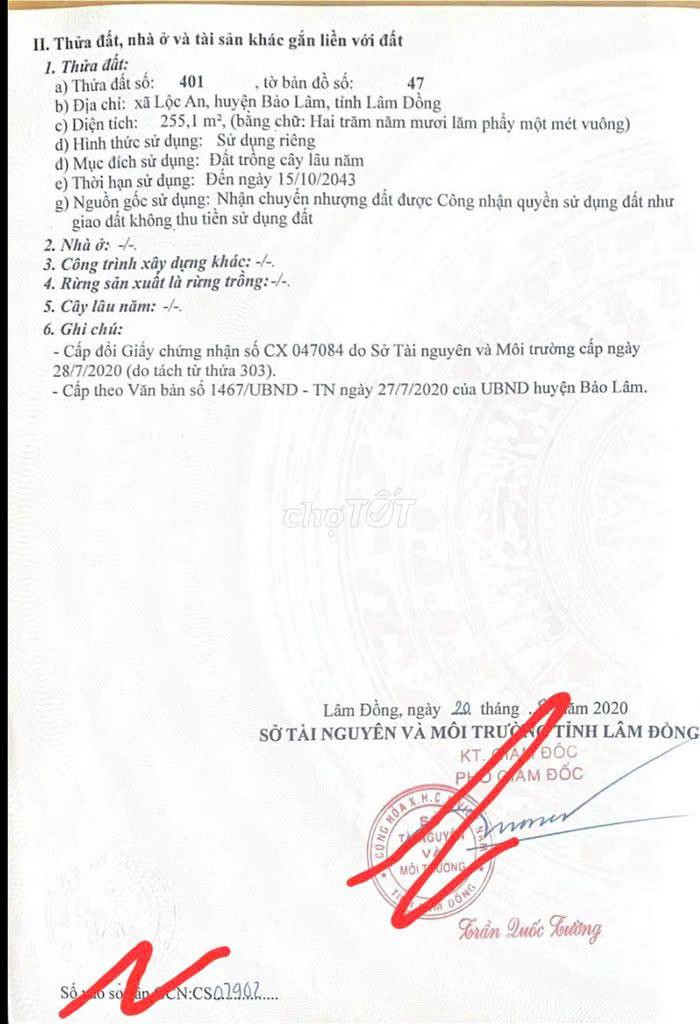 CẦN BÁN NHANH LÔ ĐẤT  TẠI   Thửa 401 TBĐ 47, Xã Lộc An, Thành phố Bảo Lộc, Lâm Đồng