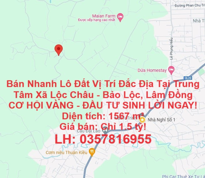 Bán Nhanh Lô Đất Vị Trí Đắc Địa Tại Trung Tâm Xã Lộc Châu - Bảo Lộc, Lâm Đồng