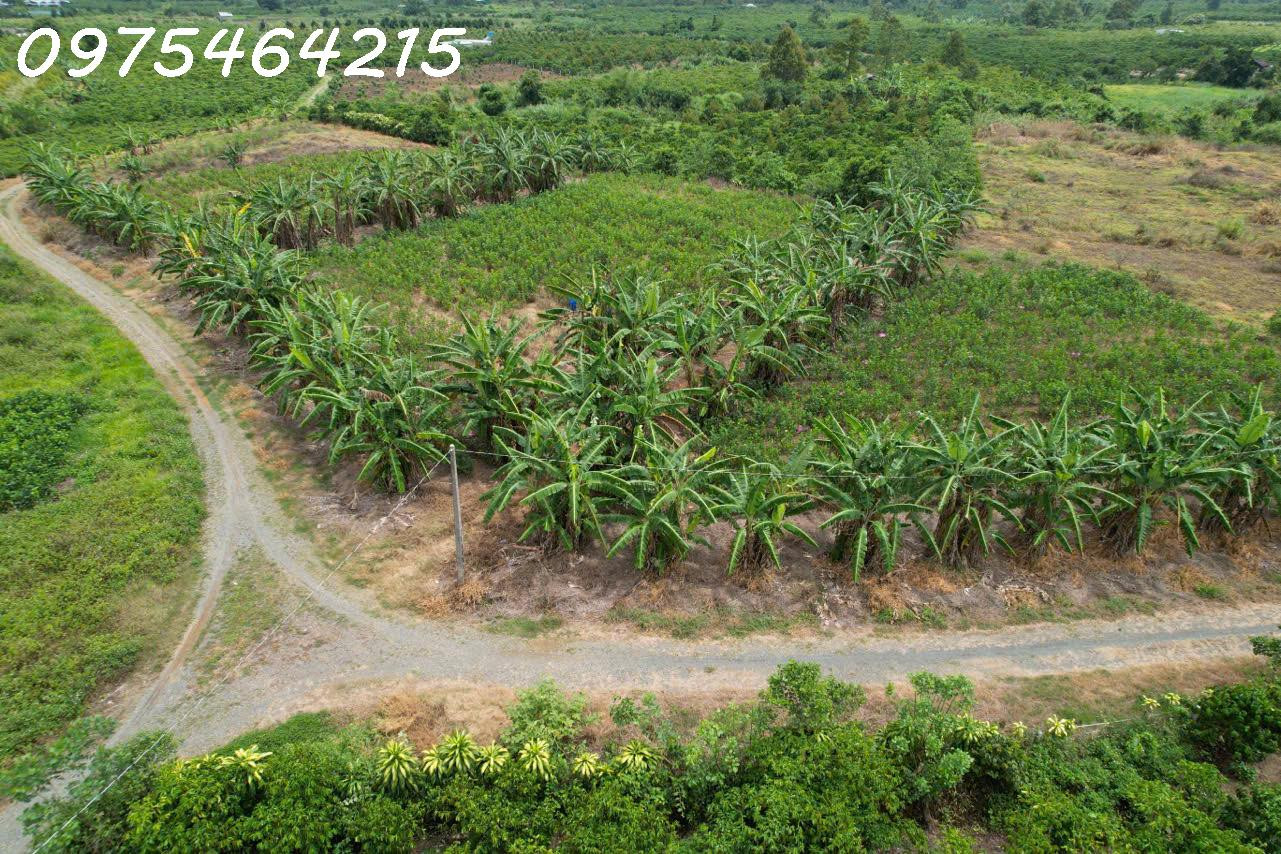 BÁN ĐẤT VIEW SÔNG – HẺM ĐƯỜNG ĐINH CÔNG TRÁNG, TP BẢO LỘC
📍 Xã Lộc Châu, TP Bảo Lộc, Tỉnh Lâm Đồng