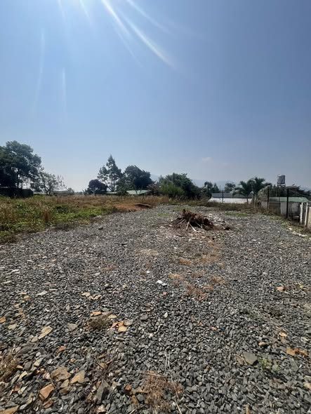 Bán lô đất 987m2 - sau lưng trường THCS Phan Bộ Châu - cách Ql 20 chỉ 100m - Lộc Châu ( phường 3 Bảo Lộc)