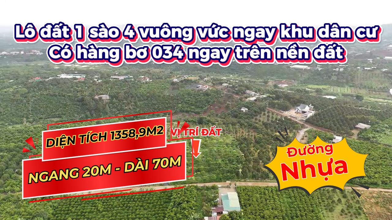 Bán đất Lộc Đức Bảo Lâm. DT 1358,9 m2 (20m x 69,5m). Đường nhựa.Có thổ. Giá 2 tỷ 330 triệu