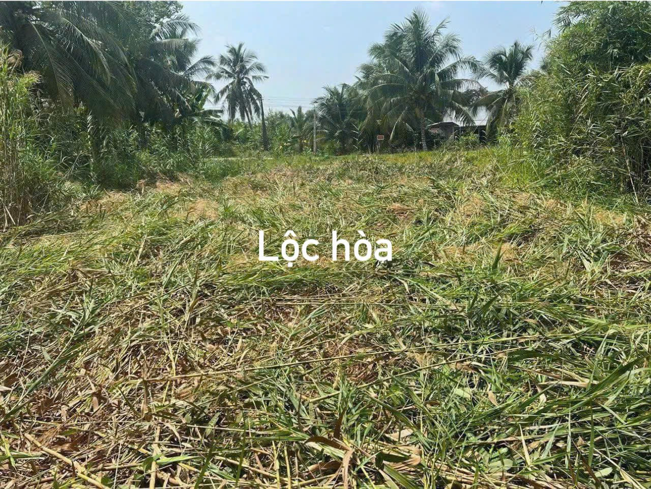 Bán đất 220m² 650 triệu tại Xã Lộc Hòa Huyện Long Hồ