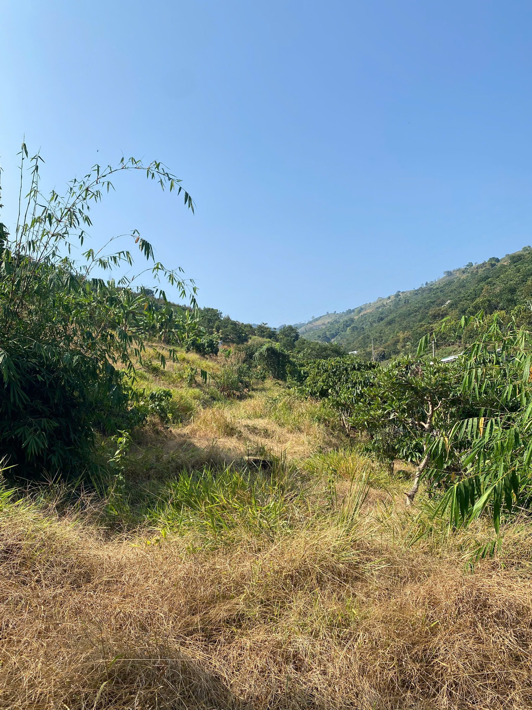 🔥 CHỦ CẮT LỖ – 2 LÔ VIEW THÔNG – GẦN QL55 – GIÁ CHỈ 750TR/1000M² 🔥

💰 𝗚𝗶𝗮́: 𝟳𝟱𝟬𝗧𝗥 / 𝟭.𝟬𝟬𝟬𝗺² (𝗴𝗶𝗮́ 𝗰𝗮̆́𝘁 𝗹𝗼̂̃)
📏 𝗗𝗶𝗲̣̂𝗻 𝘁𝗶́𝗰𝗵:
📐 Lô 1: ~𝟭.𝟮𝟬𝟬𝗺²
📐 Lô 2: ~𝟭.𝟰𝟬𝟬𝗺²
🏡 Thổ cư: mỗi lô có 100m² đất ở

📐 Kích thước chung: 10m x 85m – nở hậu 20m