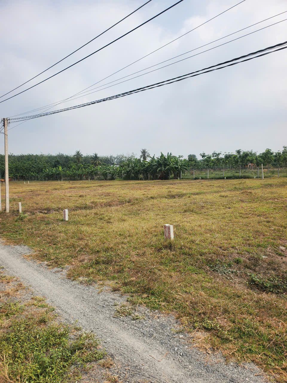 Bán đất 150m² full thổ cư ngang 5m giá 290 triệu tại Xã Lộc Ninh