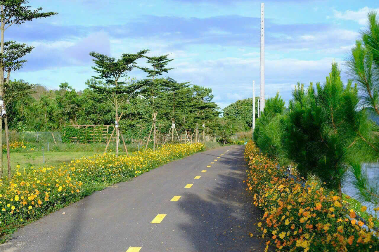 CHÍNH CHỦ CẦN BÁN ĐẤT ĐẸP TẠI KHU DÂN CƯ PARK HILL HUYỆN BẢO LÂM -TỈNH LÂM ĐỒNG