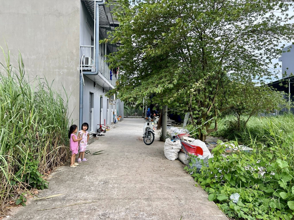 Bán đất 85m² ngang 5m giá 890 triệu Xã Long Cang