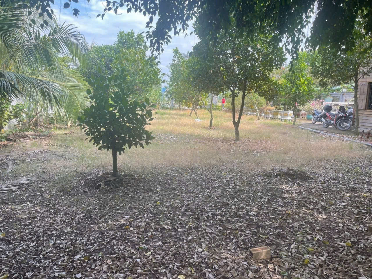 Bán nhà vườn xã Long Cang , Cần Đước tdt hơn 1200m2 đất + vườn gía 3,95 tỷ