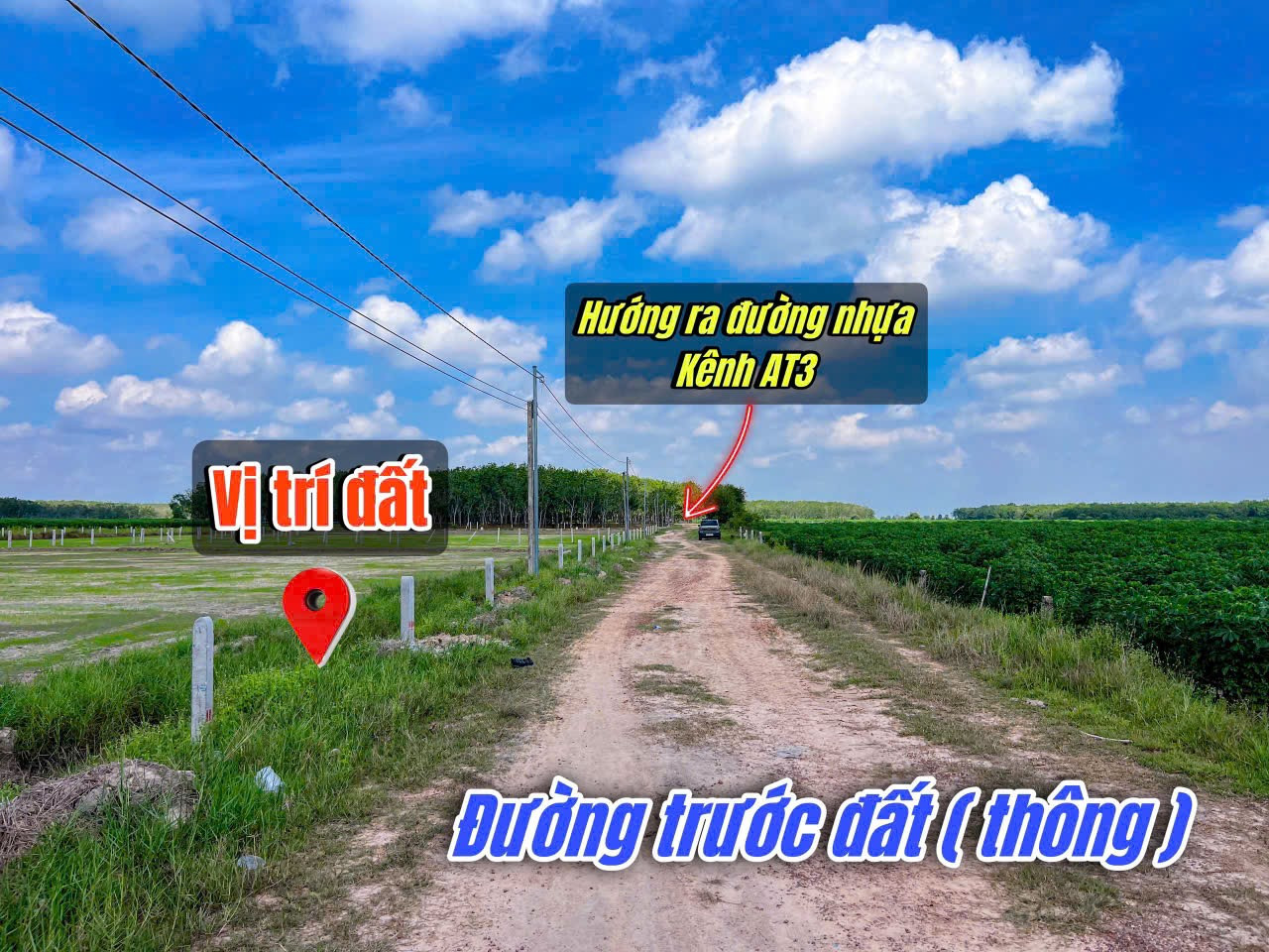 Bán đất thổ cư 243m² ngang 5m giá 199 triệu Xã Long Chữ