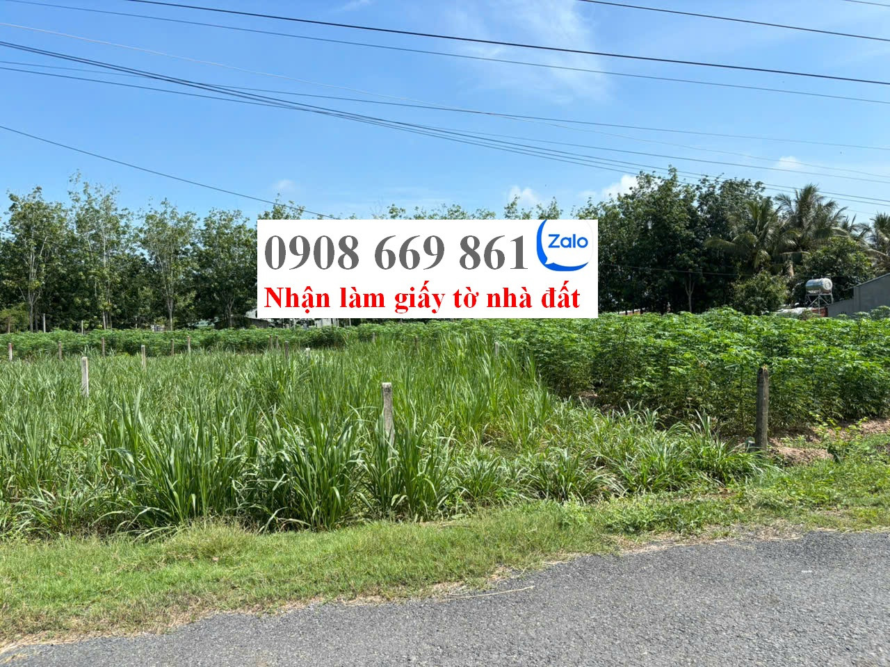 bán đất . DT 185 m2 . đường nhựa . xã long chữ . bến cầu