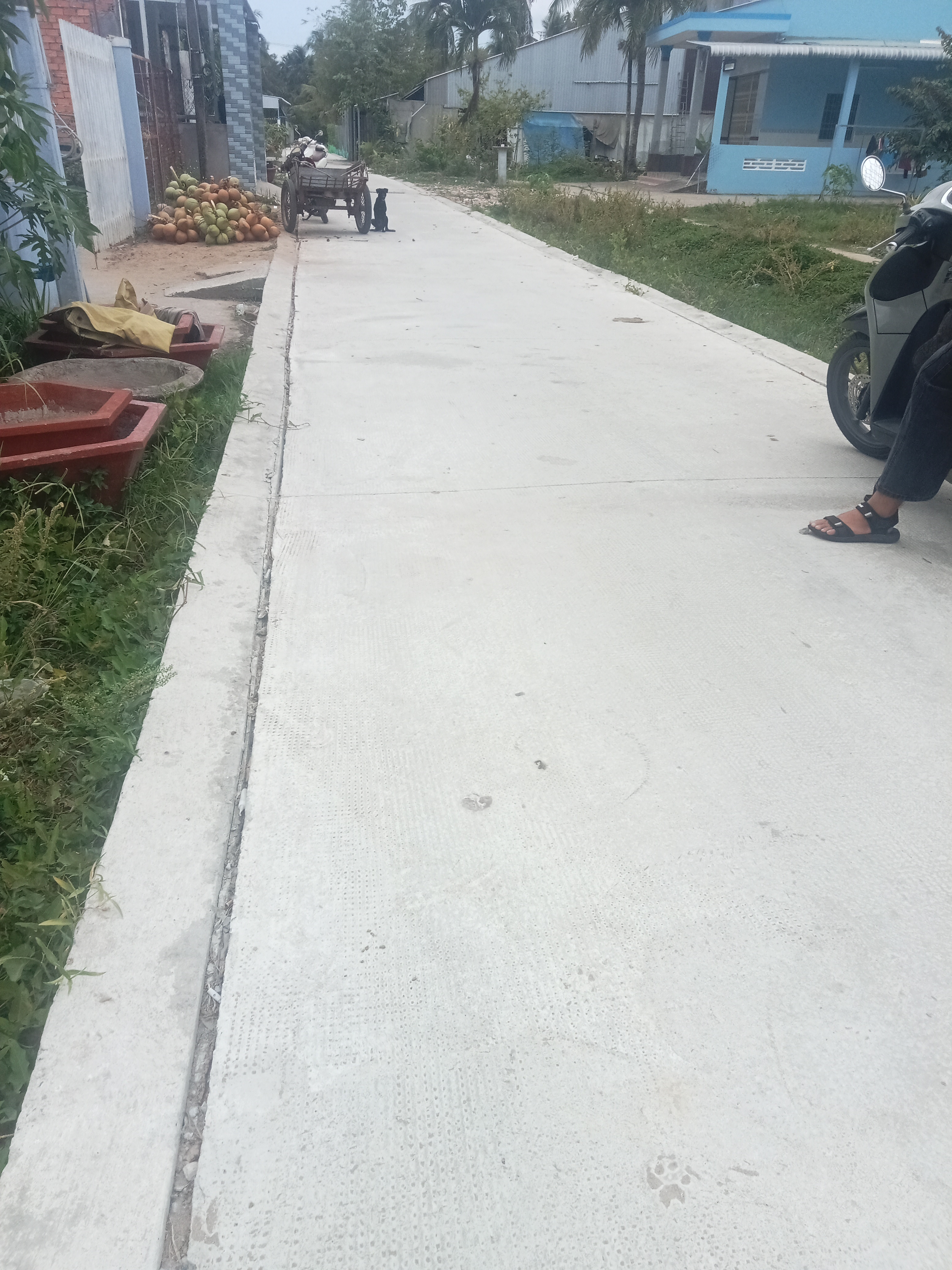 Bán Đất 235m² giá 800 triệu tại Xã Long Đức Thành phố Trà Vinh Trà Vinh