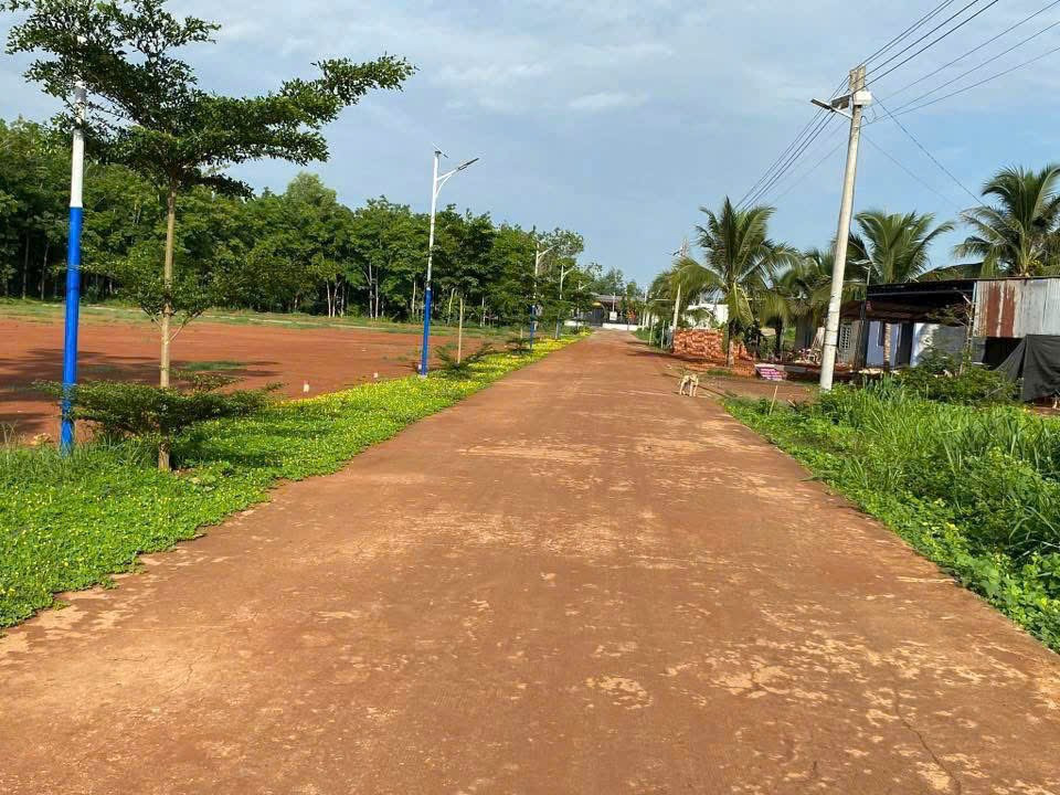 Bán đất 429.6m² giá 240 triệu Xã Long Hà