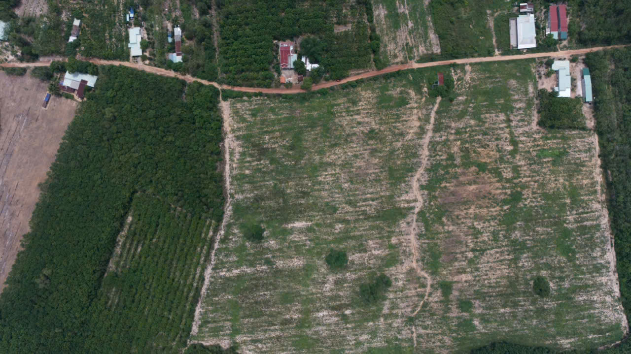 Bán đất 40000m² ngang 130m giá 25.8  tỷ Xã Long Hòa