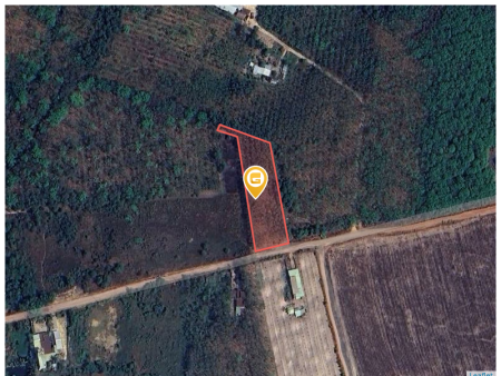 Bán đất 3288.7m² tại Xã Long Hoà Huyện Dầu Tiếng