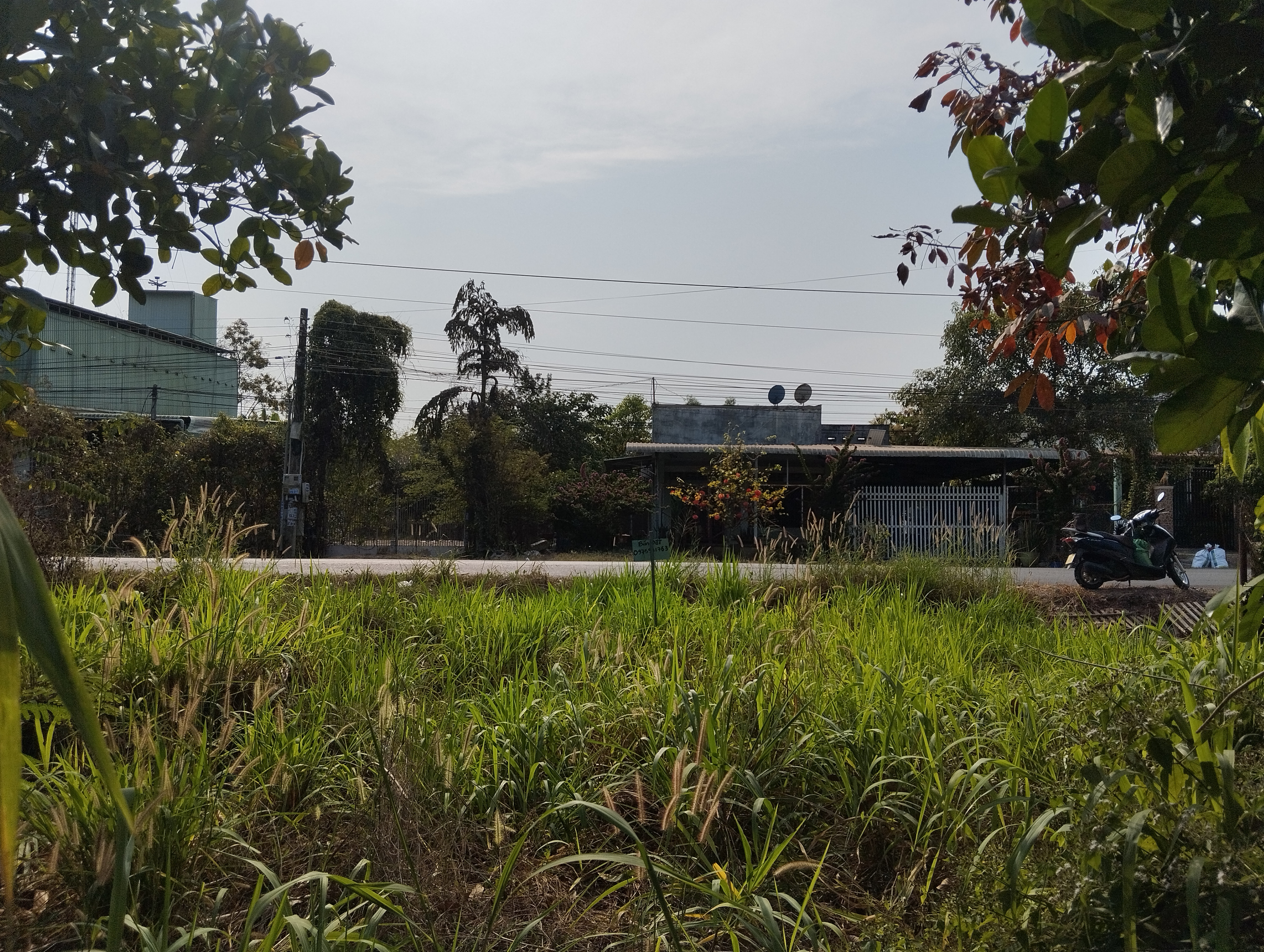 Bán đất 924.9m² 1.8 tỷ tại Xã Long Hoà Huyện Dầu Tiếng
