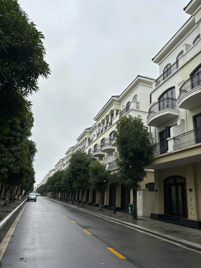 Song lập mini khu Chà Là - Vị trí đẹp - Đơn giá TỐT nhất Vinhomes Ocean Park 2