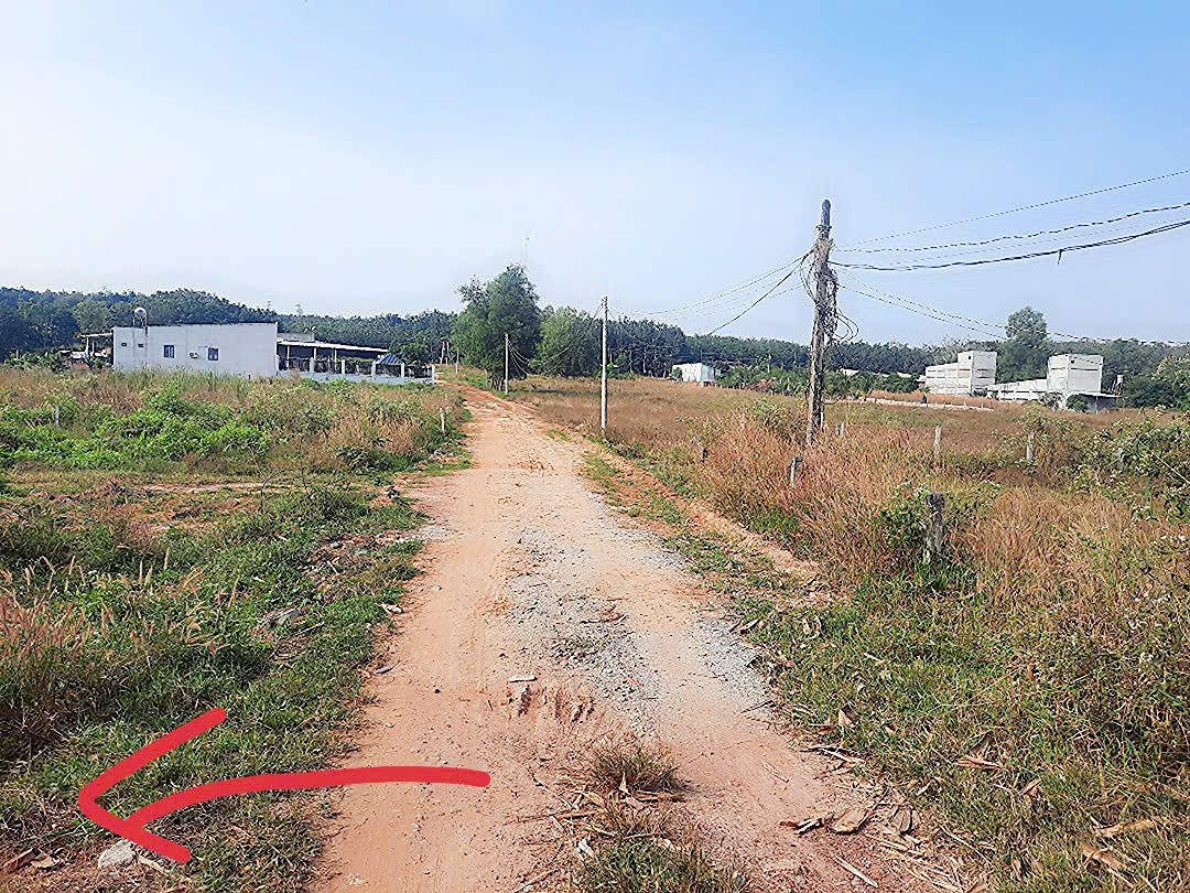 Bán đất 1035.4m² 900 triệu tại Xã Long Nguyên Huyện Bàu Bàng