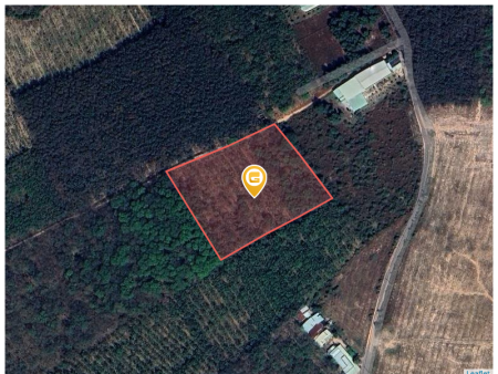 Bán đất 10489m² 1.1 tỷ tại Xã Long Nguyên Huyện Bàu Bàng