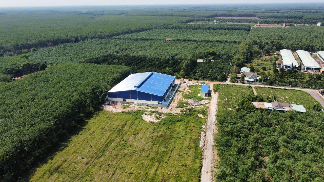 XƯỞNG BÁN BÀNG _ BÌNH DƯƠNG ( CŨ)
🔸️Diện tích đất 1ha5 .
🔸️Đã sẵn skc 3000m. 
🔸️Diện tích Xưởng 3000m.