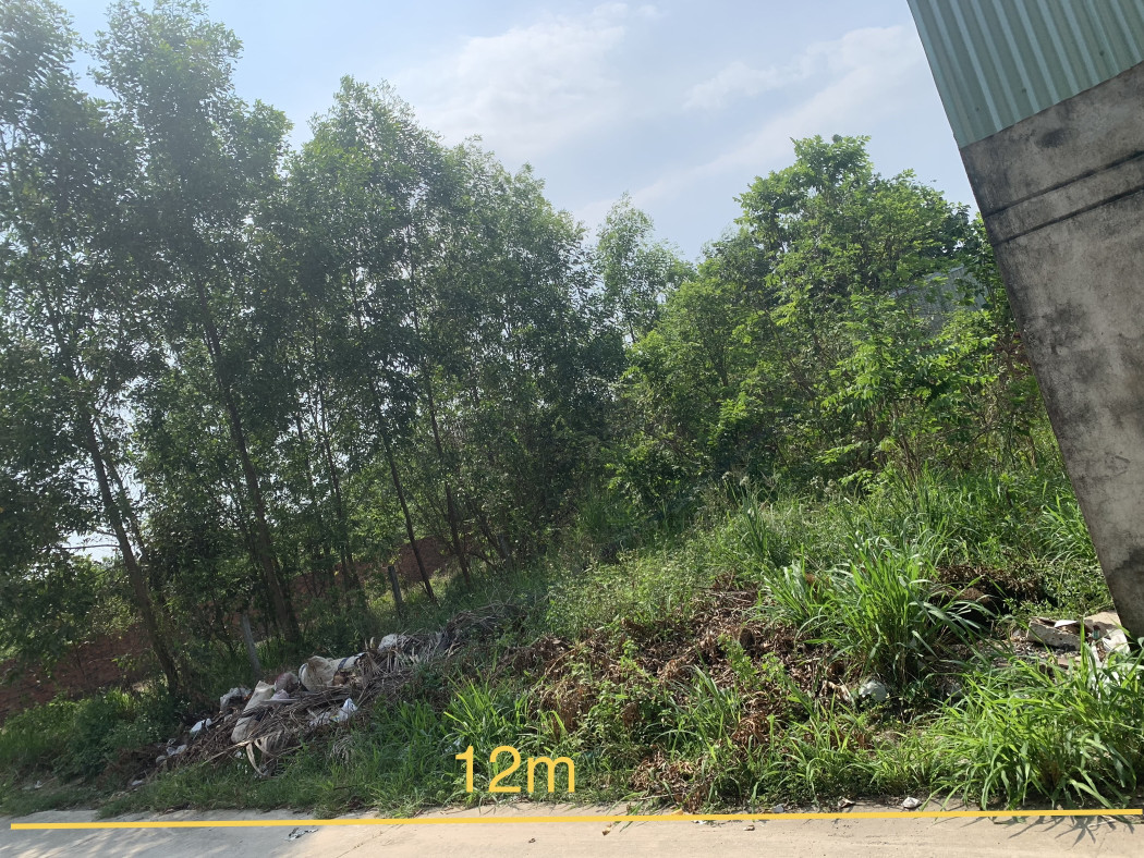 Bán đất 252.7m² ngang 12m giá 4.7 tỷ Xã Long Phước