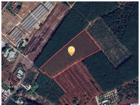Bán đất 2500m² 8.75 tỷ tại Xã Long Phước Huyện Long Thành