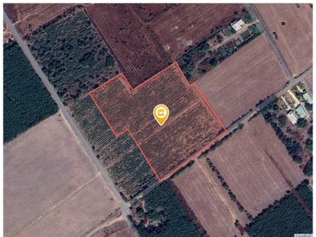 Bán đất 25000m² 137.5 tỷ tại Xã Long Phước Huyện Long Thành