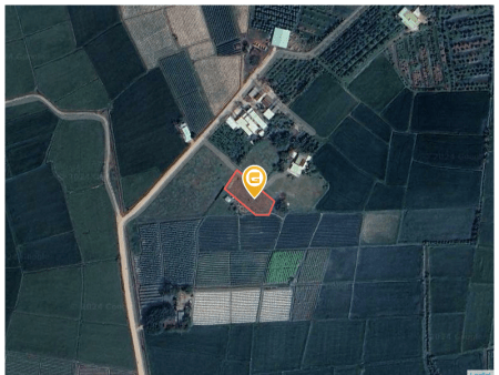 Bán đất 965m² 500 triệu tại Xã Long Thuận Huyện Bến Cầu