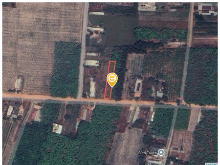 Bán đất 957.2m² 1.2 tỷ tại Xã Long Vĩnh Huyện Châu Thành