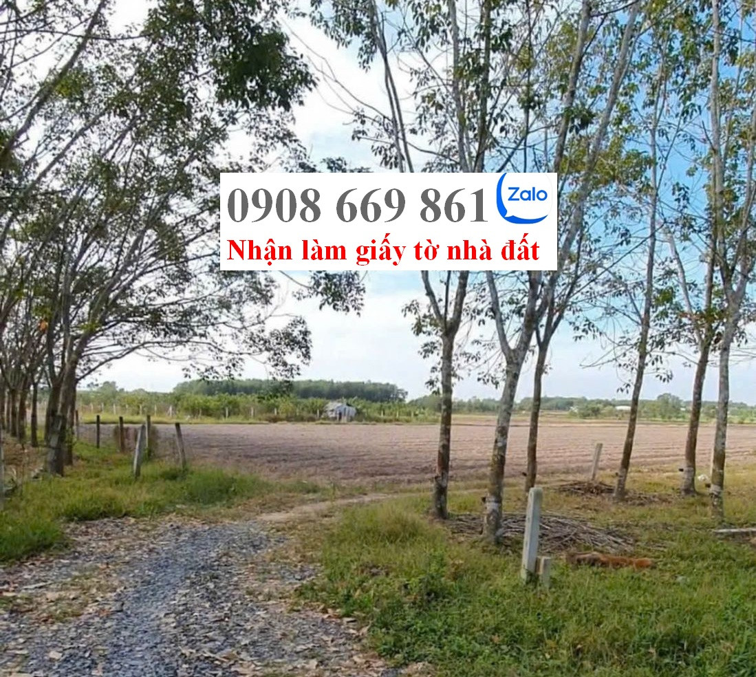 bán đất . DT 204 m2 . full thổ cư . xã long vĩnh . châu thành