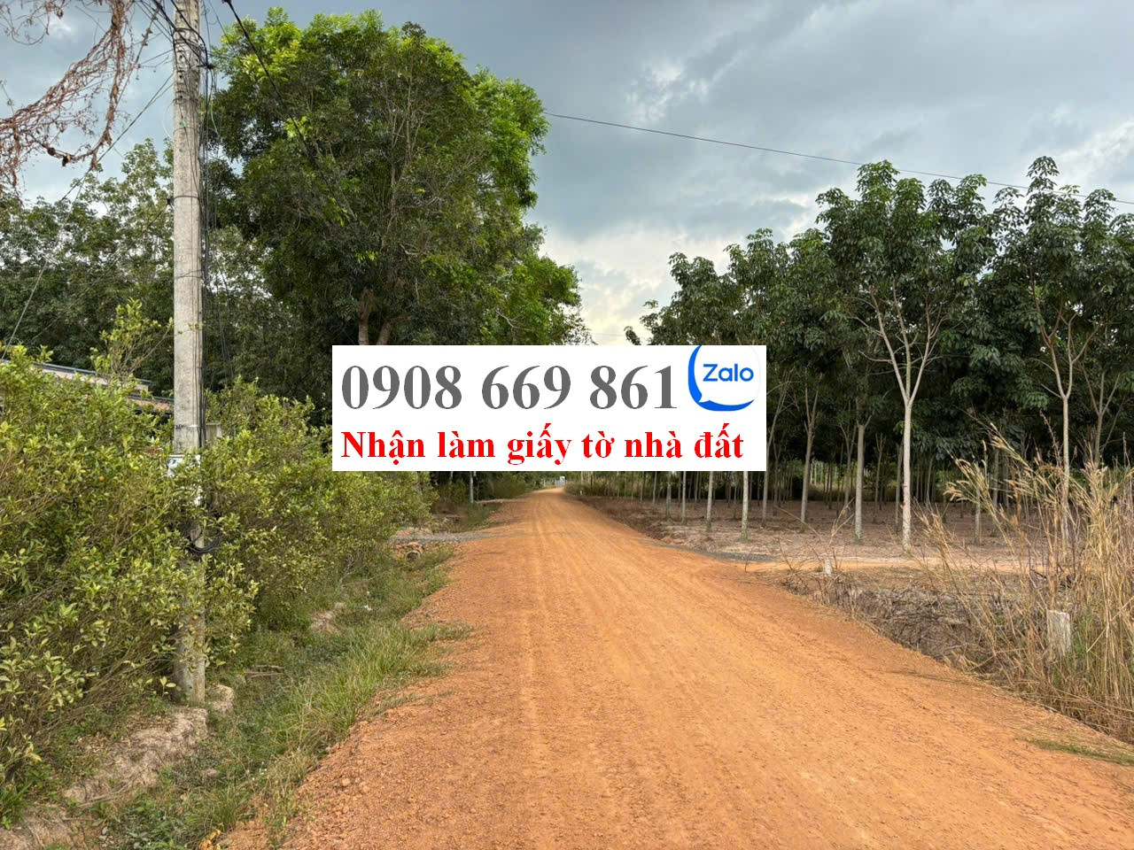 bán đất . cách trường tiểu học giồng nần 2 phút đi xe . ấp long đại . xã long vĩnh . châu thành