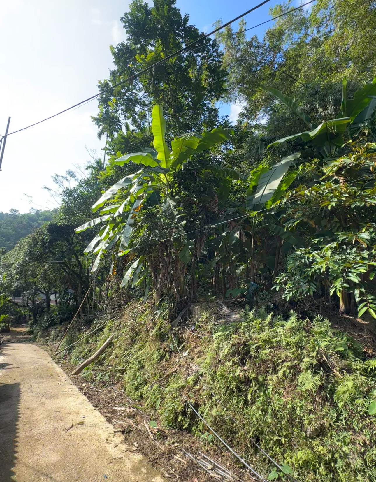 Bán đất 629m² ngang 40m giá 1 tỷ tại Xã Lũng Niêm Huyện Bá Thước