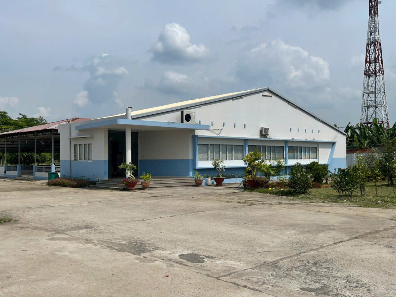 Nhà xưởng mt TL 824 xã Lương Bình, Bến Lức tổng dt 12738m2 giá 75 tỷ