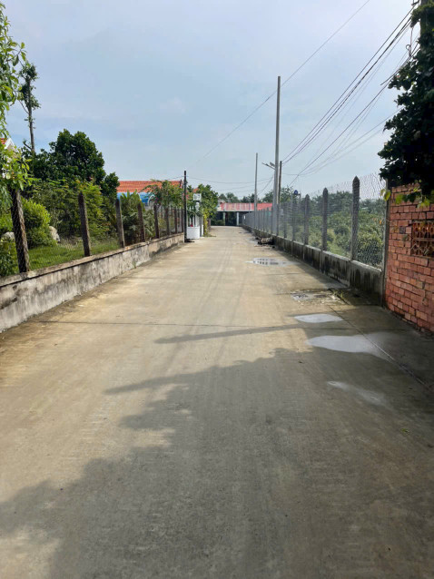 2500m2 đất lúa xã Lương Hòa, huyện Bến Lức giá 3,1 tỷ