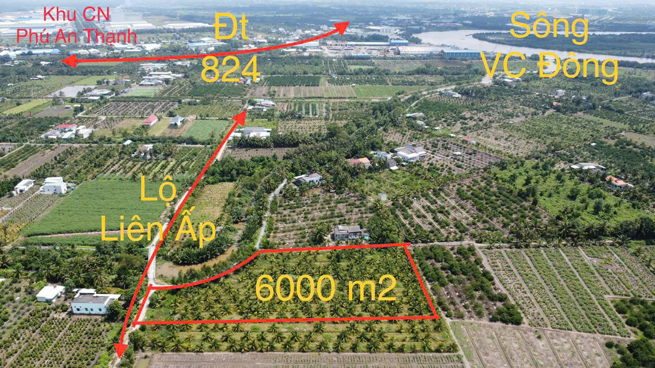 6000m2 đất lúa xã Lương Hòa, Bến Lức giá 10,8 tỷ