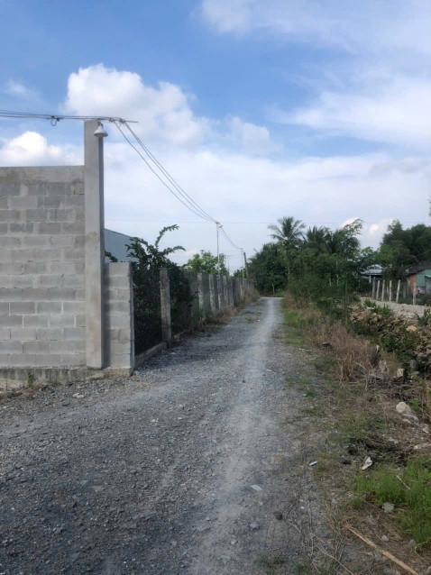 Bán đất 1134m² tại Xã Lương Hòa Huyện Bến Lức